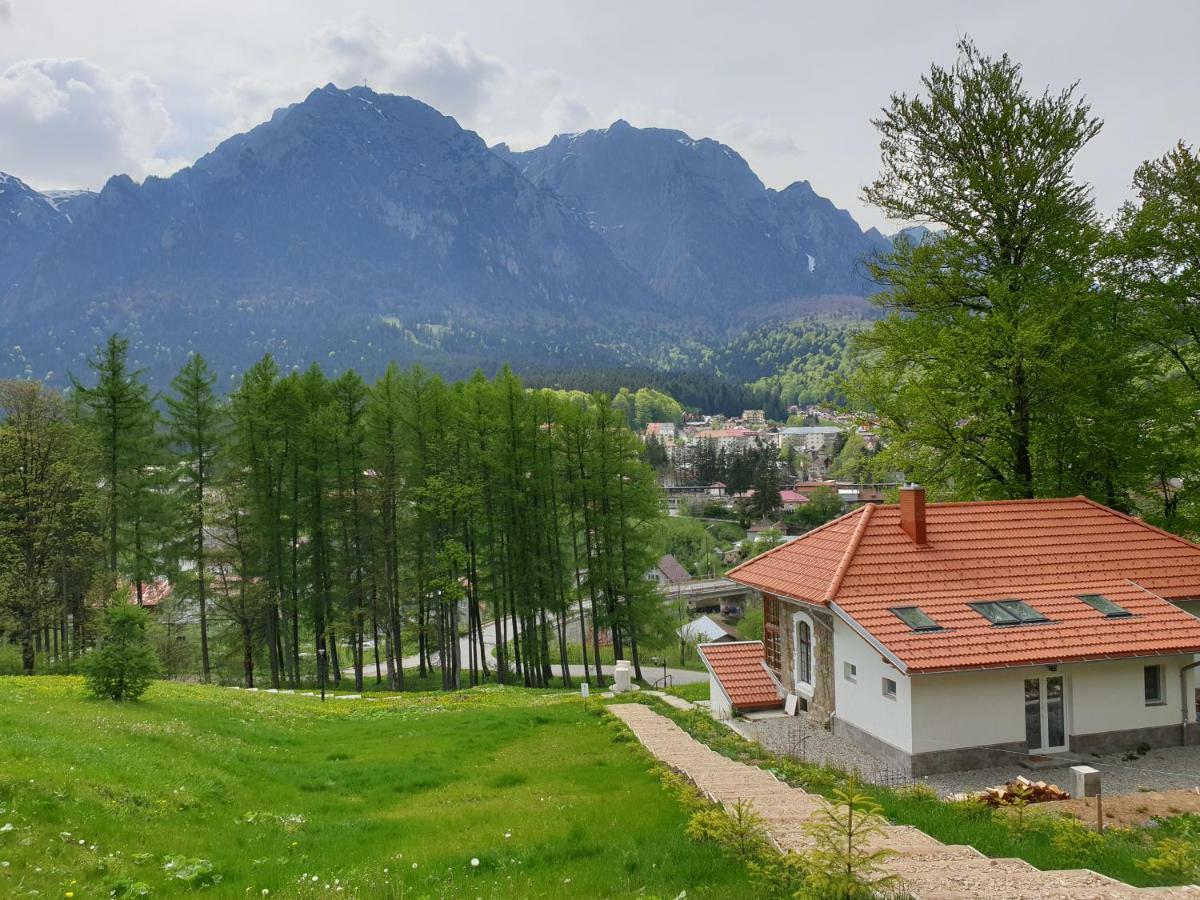 Castelul Cantacuzino Buşteni Exterior foto