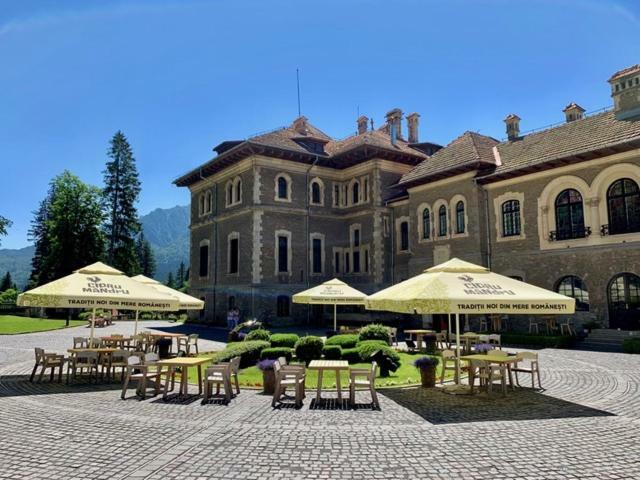Castelul Cantacuzino Buşteni Exterior foto